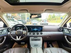 Mercedes-Benz CLS 300 Luxury - фото 8