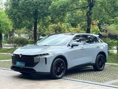 Lynk & Co Venucia Big V 260T Idol Edition - фото 1
