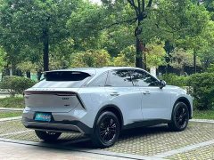 Lynk & Co Venucia Big V 260T Idol Edition - фото 2