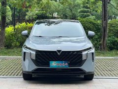Lynk & Co Venucia Big V 260T Idol Edition - фото 5
