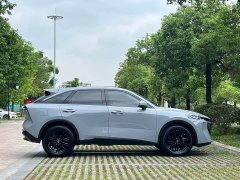 Lynk & Co Venucia Big V 260T Idol Edition - фото 7