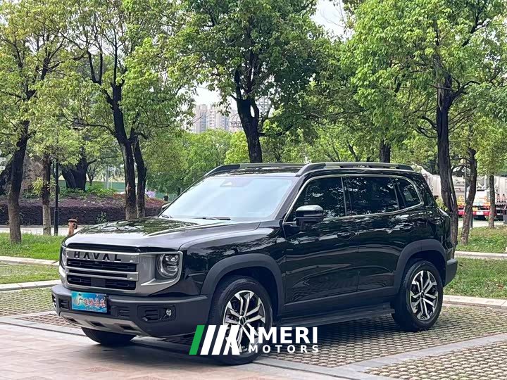 Haval Big Dog 1.5T DCT Border Collie Edition - автомобиль из Китая