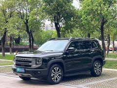 Haval Big Dog 1.5T DCT Border Collie Edition - фото 1