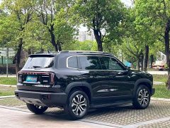 Haval Big Dog 1.5T DCT Border Collie Edition - фото 2