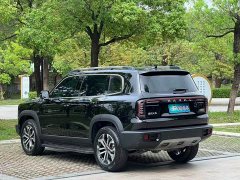 Haval Big Dog 1.5T DCT Border Collie Edition - фото 4