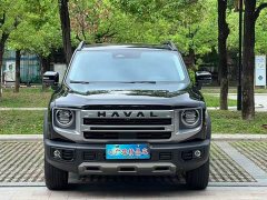 Haval Big Dog 1.5T DCT Border Collie Edition - фото 5