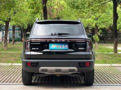 Haval Big Dog 1.5T DCT Border Collie Edition - фото 6