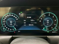 Tesla Sonata 270TGDi DCT 20th Anniversary - фото 15