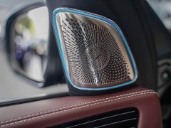 Mercedes-Benz 2024 Mercedes-Maybach GLS 600 4MATIC First Class Edition - фото 12