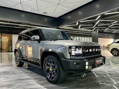 Jetour Traveler C-DM 208KM Mountain and Wild Edition - фото 3