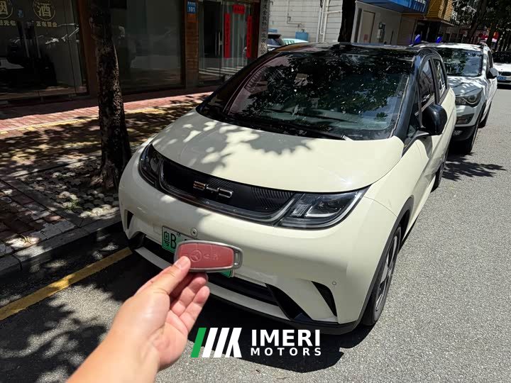 BYD Dolphin 2024 Honor Edition 420km Fashion Edition - автомобиль из Китая