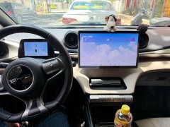 BYD Dolphin 2024 Honor Edition 420km Fashion Edition - фото 12