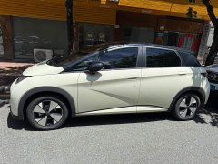 BYD Dolphin 2024 Honor Edition 420km Fashion Edition - фото 3
