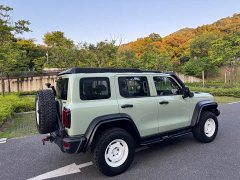 Tank 300 2.0T Tieqi 02 - фото 6