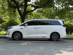 Denza D9 DM-i Intelligent Driving Edition 1020 AWD Premium - фото 10