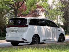Denza D9 DM-i Intelligent Driving Edition 1020 AWD Premium - фото 5