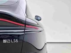 Lexus Zhiji LS6 2023 Max Standard Edition - фото 15