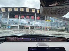 Lexus Zongheng G700 Xiangjing Edition 6 seats - фото 14