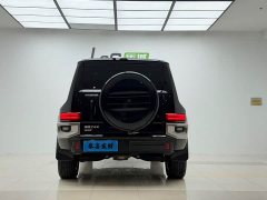 Tank 700 New Energy Hi4-T Extreme Edition - фото 19