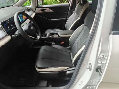Geely Geometry E Firefly 401KM Lightning Tiger 5-Seater - фото 3