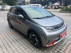 BYD Dolphin 2021 405km fashion version - фото 3