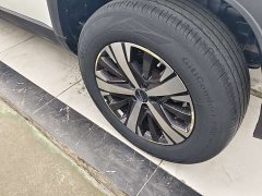 Haval Big Dog 1.5T DCT two-wheel drive Border Collie version - фото 12