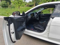 BMW 2 Series (Import) 225i M Sport Night Package - фото 10