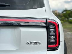 Haval Big Dog 2024 1.5T DCT Border Collie Edition - фото 5