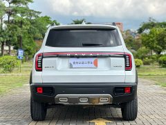 Haval Big Dog 2024 1.5T DCT Border Collie Edition - фото 8