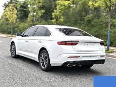 Lexus Xingrui 2.0TD luxury - фото 8
