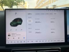 Li Auto Ideal L8 Max - фото 11