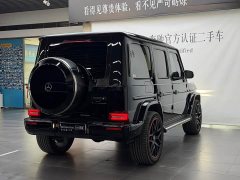 Mercedes-Benz G-Class G 500 - фото 18