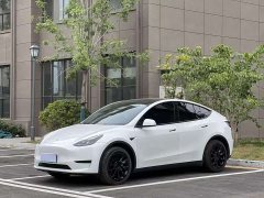 Tesla Model Y rear-wheel drive version - фото 1