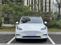 Tesla Model Y rear-wheel drive version - фото 2