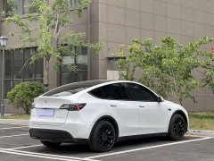 Tesla Model Y rear-wheel drive version - фото 7