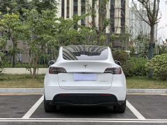 Tesla Model Y rear-wheel drive version - фото 8