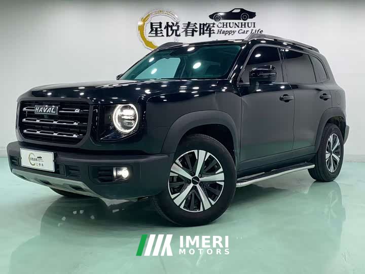 Havaldog 2022 1.5T DCT two-wheel drive Labrador version - автомобиль из Китая