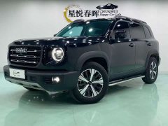 Havaldog 2022 1.5T DCT two-wheel drive Labrador version - фото 1