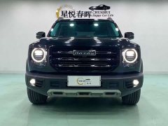 Havaldog 2022 1.5T DCT two-wheel drive Labrador version - фото 2