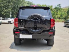 Tank 400 New Energy Hi4-T Off-Road Version - фото 5