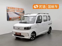 Wuling Zhiguang New Energy 201km Comfort - фото 1
