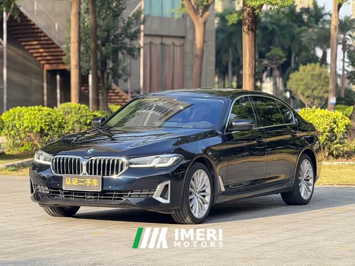BMW 5 Series 530Li Exclusive Luxury Package - автомобиль из Китая