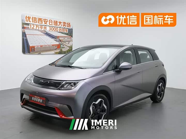 BYD Dolphin 2021 405km fashion version - автомобиль из Китая