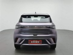 BYD Dolphin 2021 405km fashion version - фото 4