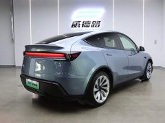 Tesla Model Y rear-wheel drive version - фото 3