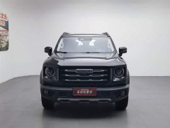 Haval Big Dog 2022 1.5T DCT two-wheel drive Border Collie version - фото 3