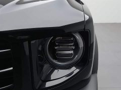Haval Big Dog 2022 1.5T DCT two-wheel drive Border Collie version - фото 7