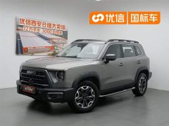 Havaldog 2.0T DCT four-wheel drive Chinese pastoral dog hunting version - фото 1