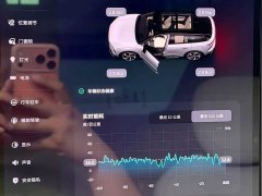 NIO ES6 75kWh - фото 11