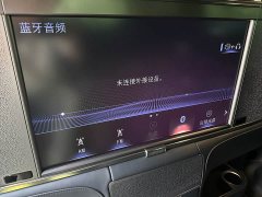 Lexus LM 2020 300h four-seat Royal Edition - фото 20
